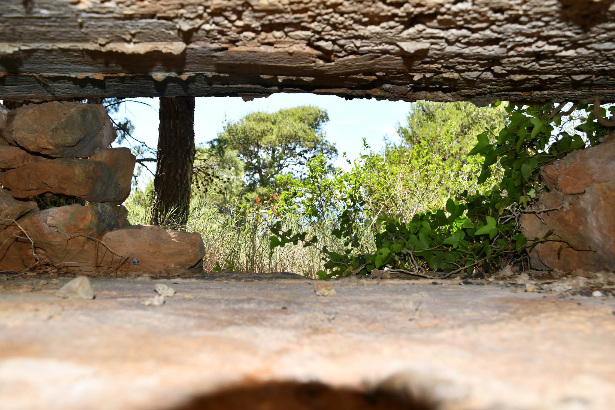 View from observation post